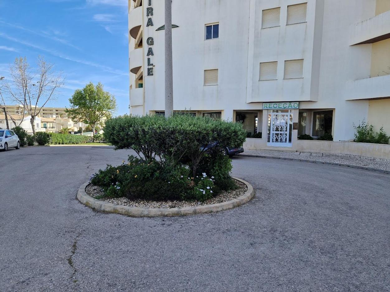 Apartamento T2 Palmeira Gale-Praia Da Gale Guia  Ngoại thất bức ảnh